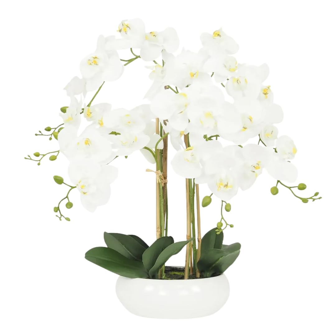 Ligne Déco - Orchidée Artificielle Blanche 55cm | Plante Artificielle Haut de Gamme avec Pot Céramique | Decoration Maison Élégante et Réaliste | Fausse Fleur Orchidée Intérieur Chic