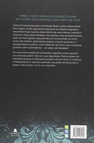 Hacker Series. Conexão Explosiva - Livro 2