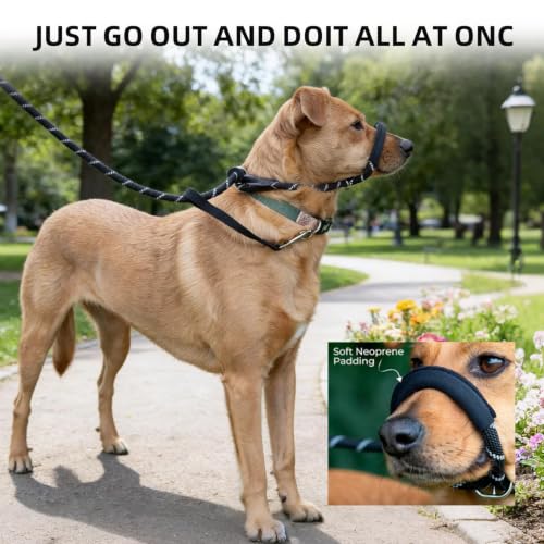 Image of Figure 8 Dog Lead for No Pull Training, Padded Nose Loop, 1.8m