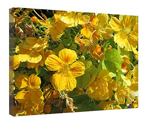 Lienzo de flores amarillas enmarcado en madera de alta calidad, cuadro elegante de 40.5x20"