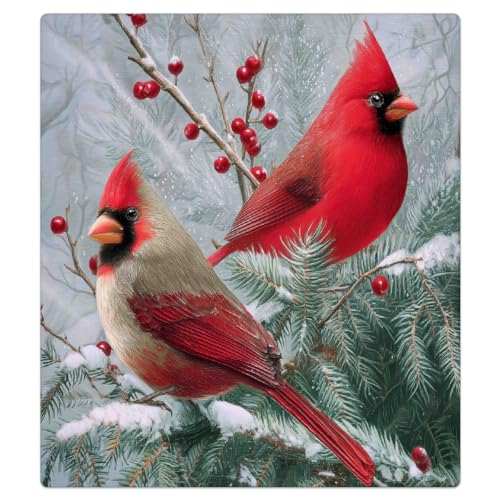 Funda para lavavajillas magnética de pájaros rojos que decora cocinas rústicas