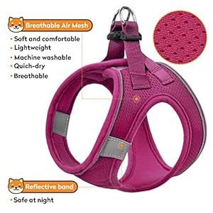 Dog-Harness-with-Leash-SetNo-Pull-Pet-Harness-with-2-Leash-Clips-Adjustable-Soft-Padded-Dog-Vest-for-Extra-SmallSmall-Medium-Large-Dogs-and-CatsRedMedium - Cucciolini Doodles   Dog-Harness-with-Leash-SetNo-Pull-Pet-Harness-with-2-Leash-Clips-Adjustable-Soft-Padded-Dog-Vest-for-Extra-SmallSmall-Medium-Large-Dogs-and-CatsRedMedium