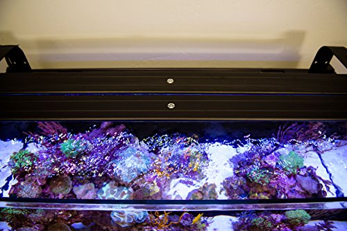 Current Usa 4227 Orbit Marine Ic Pro Led Reef Aquarium Dual Light System With Wireless Loop, 48" #TOP3