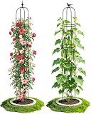 LATERN 1 Stück Garten Obelisk Spalier für Kletterpflanzen, 180CM Hoch Rostfrei Beschichtete Metall Pflanzenstütze Rankgitter Rahmen für Töpfe Pflanze Rose Tomate Gurke Blumen Traube Erbse (Grün)