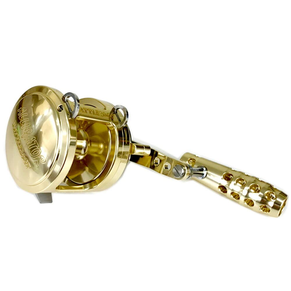 Amazon.co.jp: Alligator Battle 20 GT.G : Sports & Outdoors