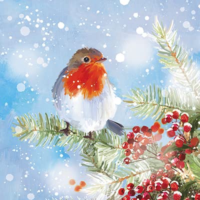 Ling Design Weihnachtskarten – Motiv Rotkehlchen-Paar, 6 Stück Mit Umschlägen, 135 X 135 Mm
