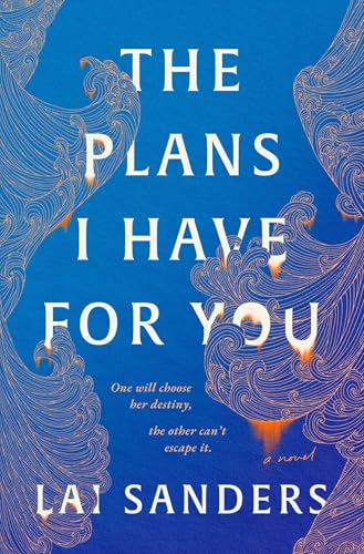 The Plans I Have For You: A Novel