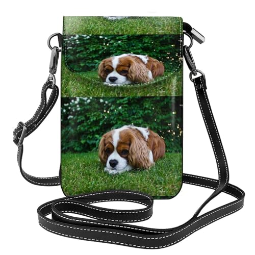 Porte-téléphone Cavalier King Charles pour vos balades en ville