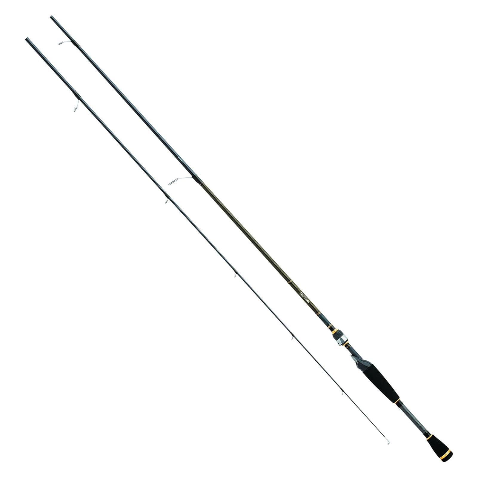 Amazon.com : Daiwa 0001-4046 AIRX662MFS Aird-X 6'6