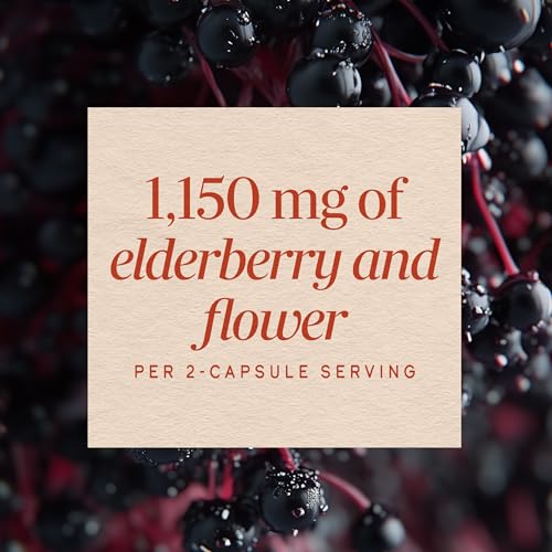 Nature's Way Black Elderberry Capsules, 1,150 mg per Serving, Vegan, 100 ct - image 4