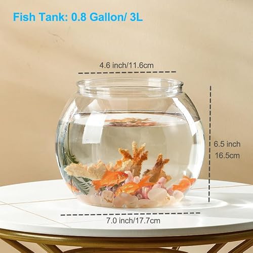 Newpol Mini kits de plástico para iniciantes, aquário de peixes (3 litros)