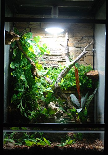 Lucky Reptile LED Zon - Afbeelding 4