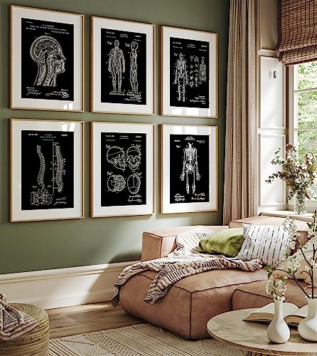Magic Posters Anatomy Set Of 6 Patent Prints, Office Decor, Anatomical Muscle Poster, Clinic Wall Art, Medical Student Gifts For Doctors, Nurses, Surgeons