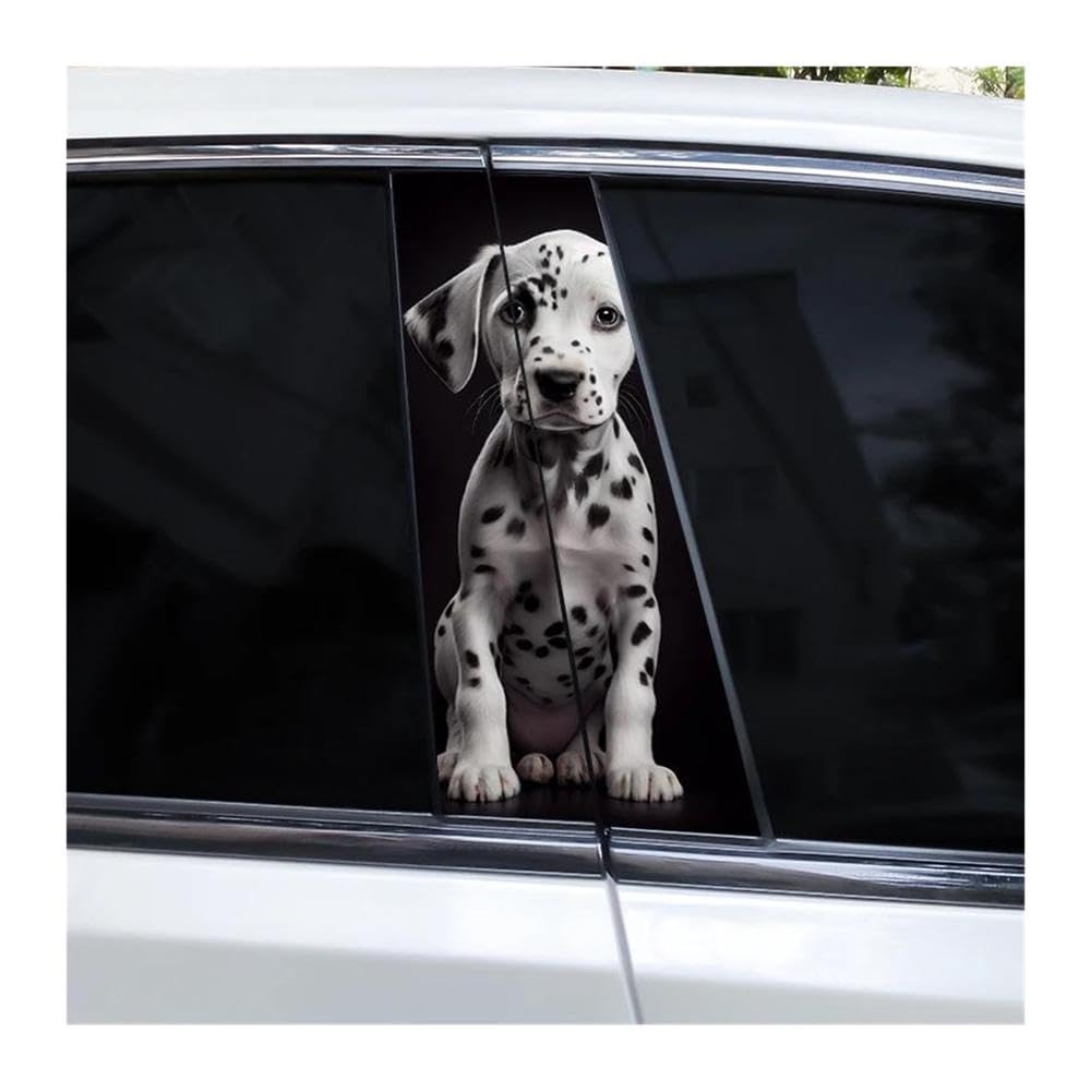 Autocollants montant B de voiture pour masquer les rayures de pilier de porte vinyle