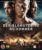  DVD SCHWEDEN SCHWEDISCH - Den Blomstertid Nu Kommer
