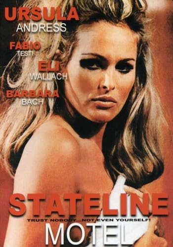 Stateline Motel solución decorativa original para estanterías aburridas y vacías