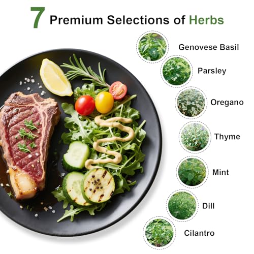 image for Majero Gourmet Herbs Seed Pod Kit for AeroGarden, iDoo, Ahopegarden, M