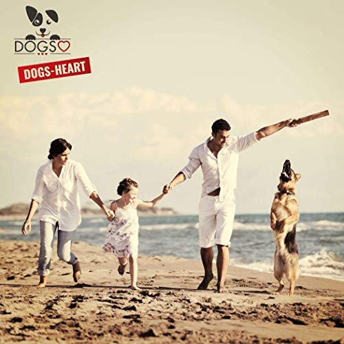 DOGS-HEART Kalb&Rind mit Süßkartoffel (5 kg) Hundefutter trocken Getreidefrei mit hohem Fleischanteil, Glutenfrei