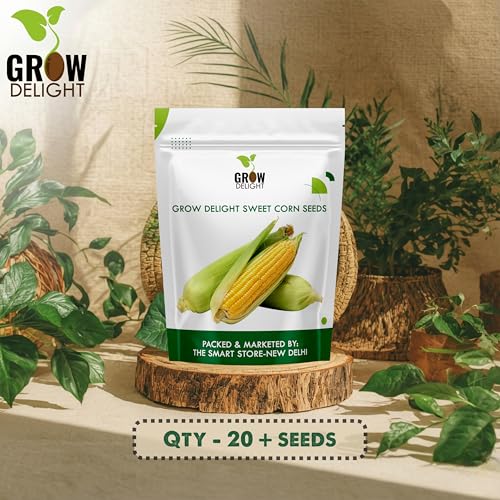 Image of Sweet Corn (Meetha Makka) (20 Seeds) Vegetable Seeds for Home Garden, Organic & Hybrid, Perfect for Home Gardening, Planting For Pots and Patio