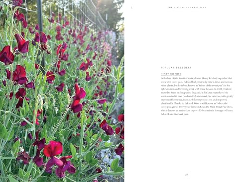 Sweet Pea School: Growing & Arranging the Garden's Most Romantic Blooms - Image 11