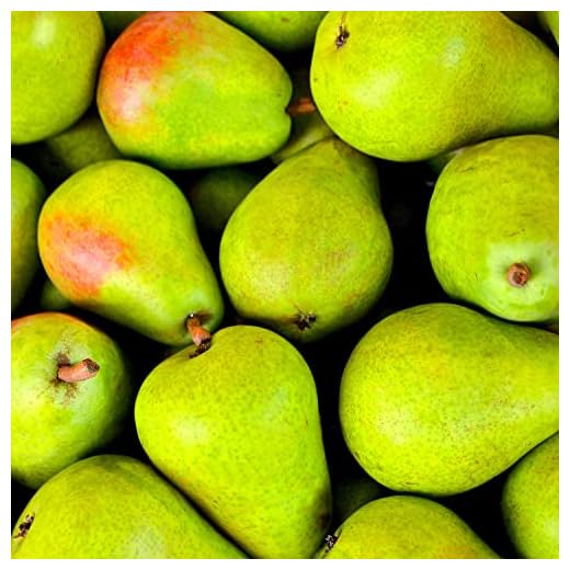 ASMR Mukbang - Pear eating