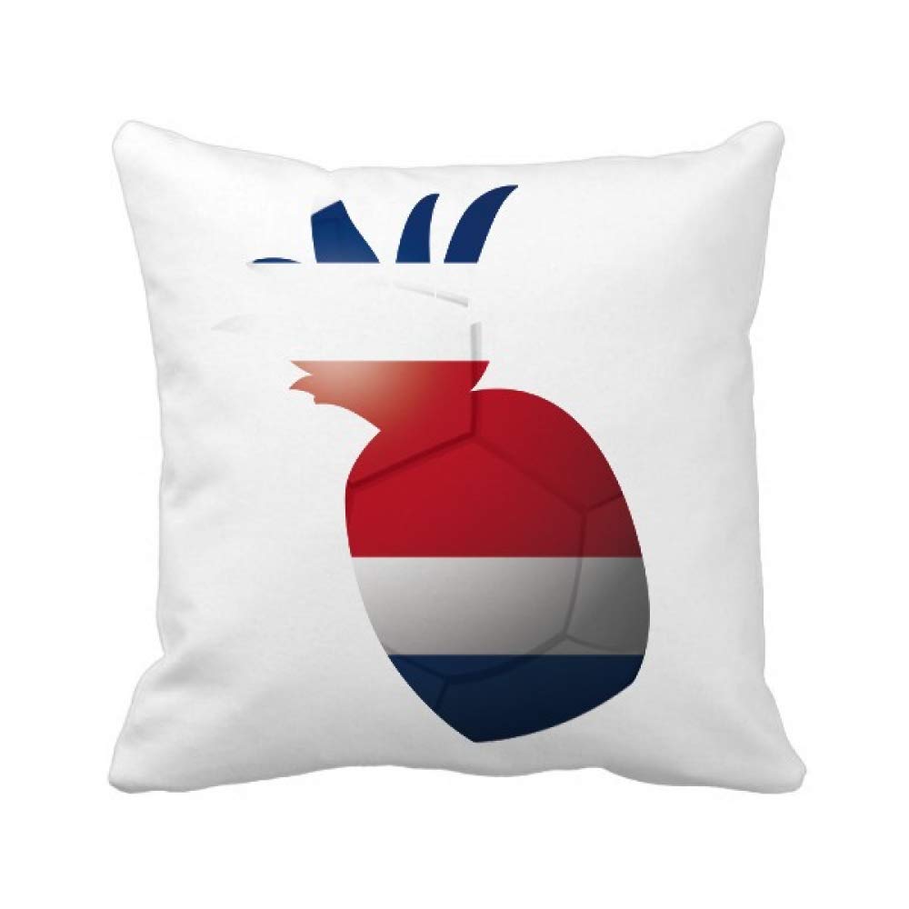 Coussin Costa Rica football housse carrée motif ananas DIY pour canapé