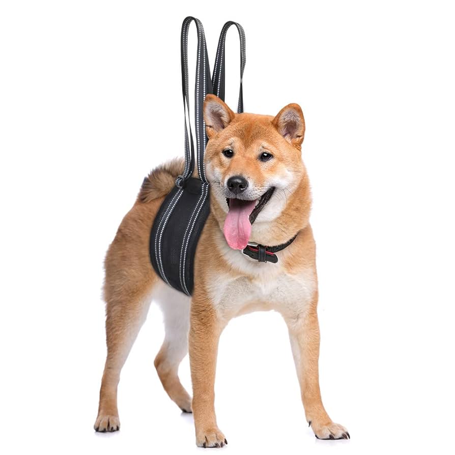 Amazon | [Kenichi] 犬 ハーネス 介護用 歩行補助ハーネス