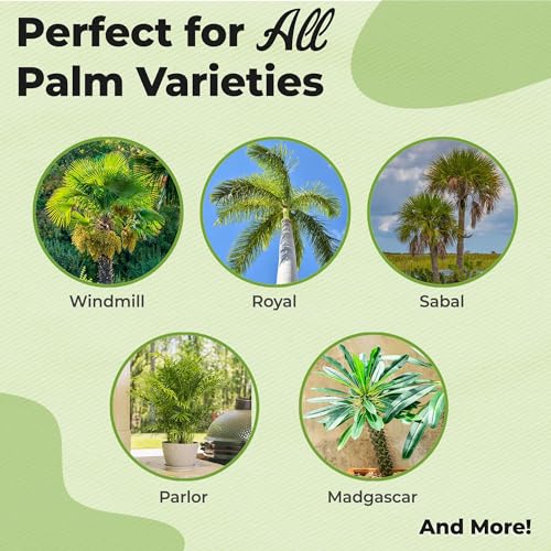 Fertilizante líquido para palmas Perfect Plants 1 Qt miniatura 2
