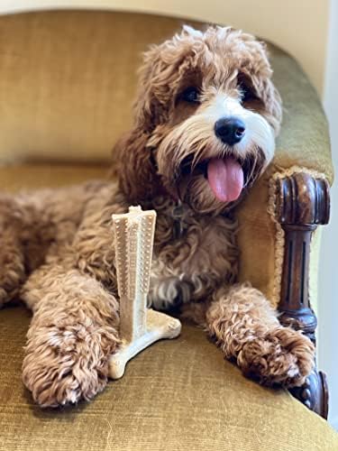Bamboodles T-Bone Chew Toy for Dogs - Small 4" Peanut Butter Flavour, for All Breed Sizes