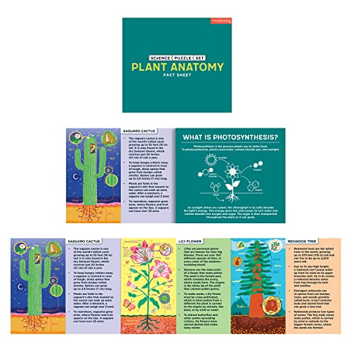Set de Rompecabezas Científicos de Anatomía de Plantas de Mudpuppy - Incluye Tres Rompecabezas de 100 Piezas con Ilustraciones Coloridas, Edades 6+ miniatura 6