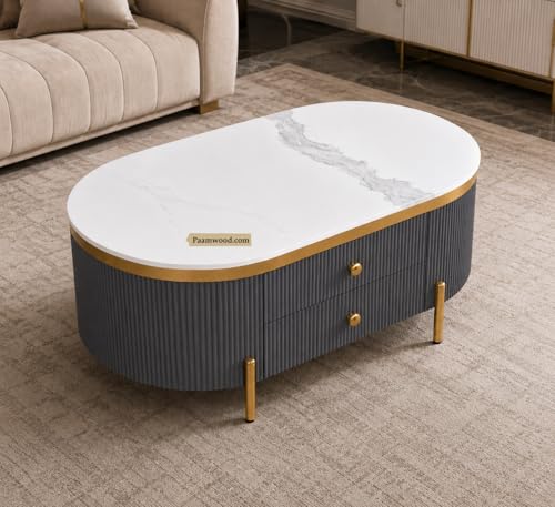 Image of Tesla Centre Table, 42x24x18 Inch, Nano Composite White Marble Top, Gold Accents, 2-Drawer Storage, Oval Design, Waterproof Plywood, PVD Legs, Modern Coffee Table for Living /Entryway