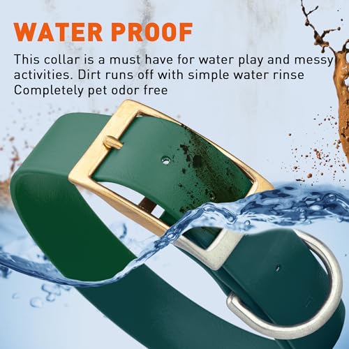 Image of Viper Biothane Heavy Duty Waterproof Dog Collar Strong Coated Nylon Webbing w /Solid Brass Hardware Odor-Proof Easy to Clean High Performance Fits Small Medium or Large Dogs, Hunter Green