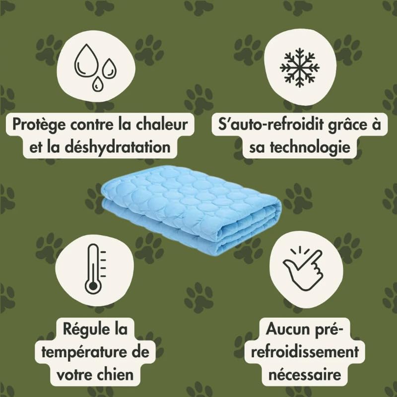 CroqPatte Croq’Fresh - Le Tapis Rafraîchissant L'été Tapis Frais Et Durable pour Chien Chats (Bleu,XXL-150X100cm)