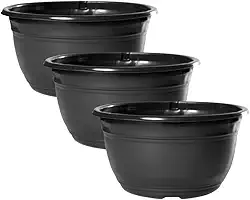 Kit 30 Vaso Cuia Para Produtor De Rosa Do Deserto Cacto e Suculenta 2,9 Litros de Plástico Reciclado Preto