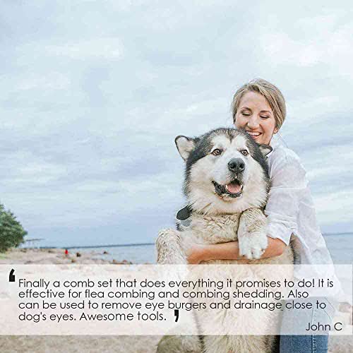 Brillirare 6 Stück Katze Hund Flohkamm, Metall Zähne Haustier Kämme, Edelstahl Läusekamm, 2 in 1 Profi Doppelseitiger Pflege Werkzeug, Tränenfleckentferner für Kleine, Mittlere & Große Haustiere
