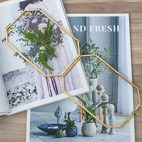 Ncyp Small (4X6 Inches) Gold Glass Floating Frame For Pressed Dried Flowers - Hanging Octagon Clear Brass Frame With Chain For Plant Specimen, Artwork Photo, Picture - Wall Decor (Glass Frame Only) #TOP3