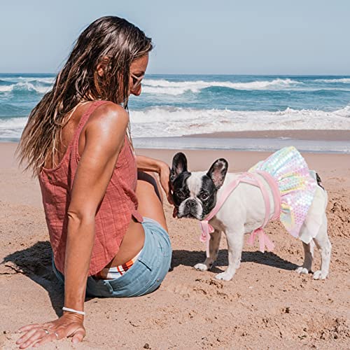 Duojoy Dog Bikini Dress With Sequins&Chiffon, Mermaid Colorful Puppy Beach Swimsuit, Small Medium Doggie Cat Summer Bathing Suit, Dog Tutu Dresses Pet Stylish Clothes Costume For Pool-M #TOP6
