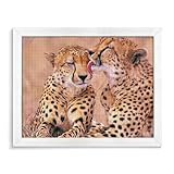 Service après-vente : garantie 5 étoiles, garantie de remboursement complet de 30 jours. Si pour une raison quelconque vous n'êtes pas satisfait de nos produits, n'hésitez pas à nous contacter. Nous l'échangerons ou vous rembourserons intégralement.