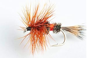 Royal Wulff Dry Fly 6-Pack: Deceive Trout with Realistic Fly Patterns