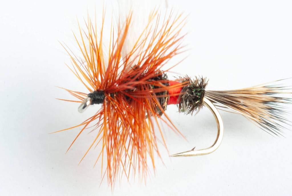 Blue Wing Olive Royal WULFF Dry Fly, 6-Pack (#18)