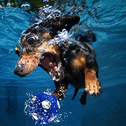 Image of EETOYS Petlicious and More Dog Latex Squeaky Football Toy for Puppies (Medium)