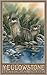 Produktbild Northwest Art Mall Yellowstone National Park River Otters OTT Wanddekoration von Dave Bartholet, 28 x 43 cm