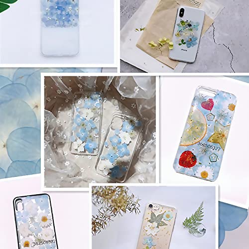 60 Stück Hortensien getrocknete Blumen, echte natürliche gepresste Blumen, Kunstharz, getrocknete Blumen für Harz, DIY, Handwerk, Handyhüllen, dünne Schnittbilder, Duftkerzen, handgefertigte Seife,