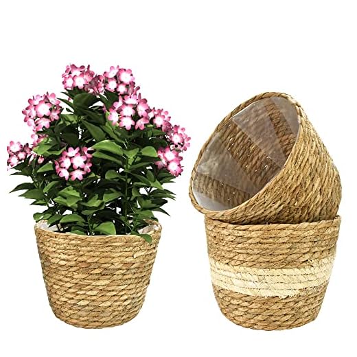 REFORUNG 2 Piezas Cesta de Plantas Naturales Cesta de Hierba Marina Cesta para Flores Naturales Cesta Tejida Almacenaje para Plantas Cestas Redondas Decorativas para Interiores y Exteriores- Ø18cm