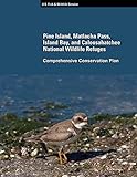 Pine Island, Matlacha...image