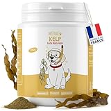 Kelp en polvo para perros y gatos – Complemento alimenticio 100% natural – Rico yodo y minerales – Boost las defensas inmunitarias – Apoyo a la tiroides – 100 g