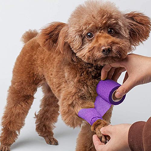 Lotfancy Vet Wrap For Horses Dogs, 10 Pack , 2 Inch X 5 Yards Self Adhesive Bandage Wrap, Breathable First Aid Tape For Pets Leg Foot Ankle Elbow Knee Paw, Assorted Colors #TOP6