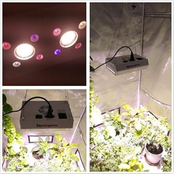 Amazon.co.jp: Hipargero: 植物育成ライト