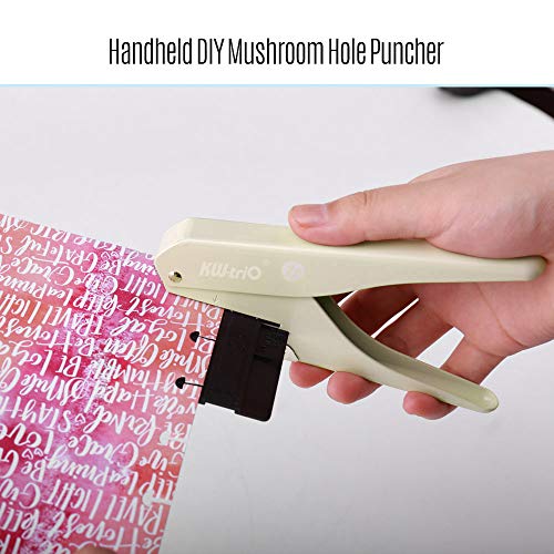 Entweg Cortador de Papel com Régua, para Escritório/Estudos