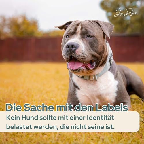 Die Sache mit den Labels &ndash; Angsthund, Listenhund, Tierschutzhund